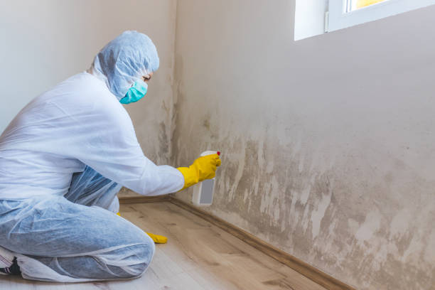 Hvac And Air Duct Mold Remediation inspection of HVAC system in Madison